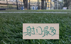 申花上半年伤兵满营却依然在中超射门次数上领跑，令人意想不到的球队表现背后隐藏着怎样的战术布局与球员拼搏精神？